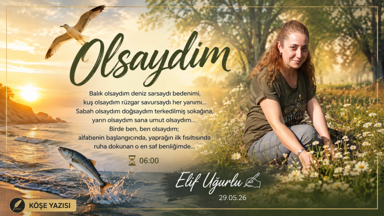 Olsaydım