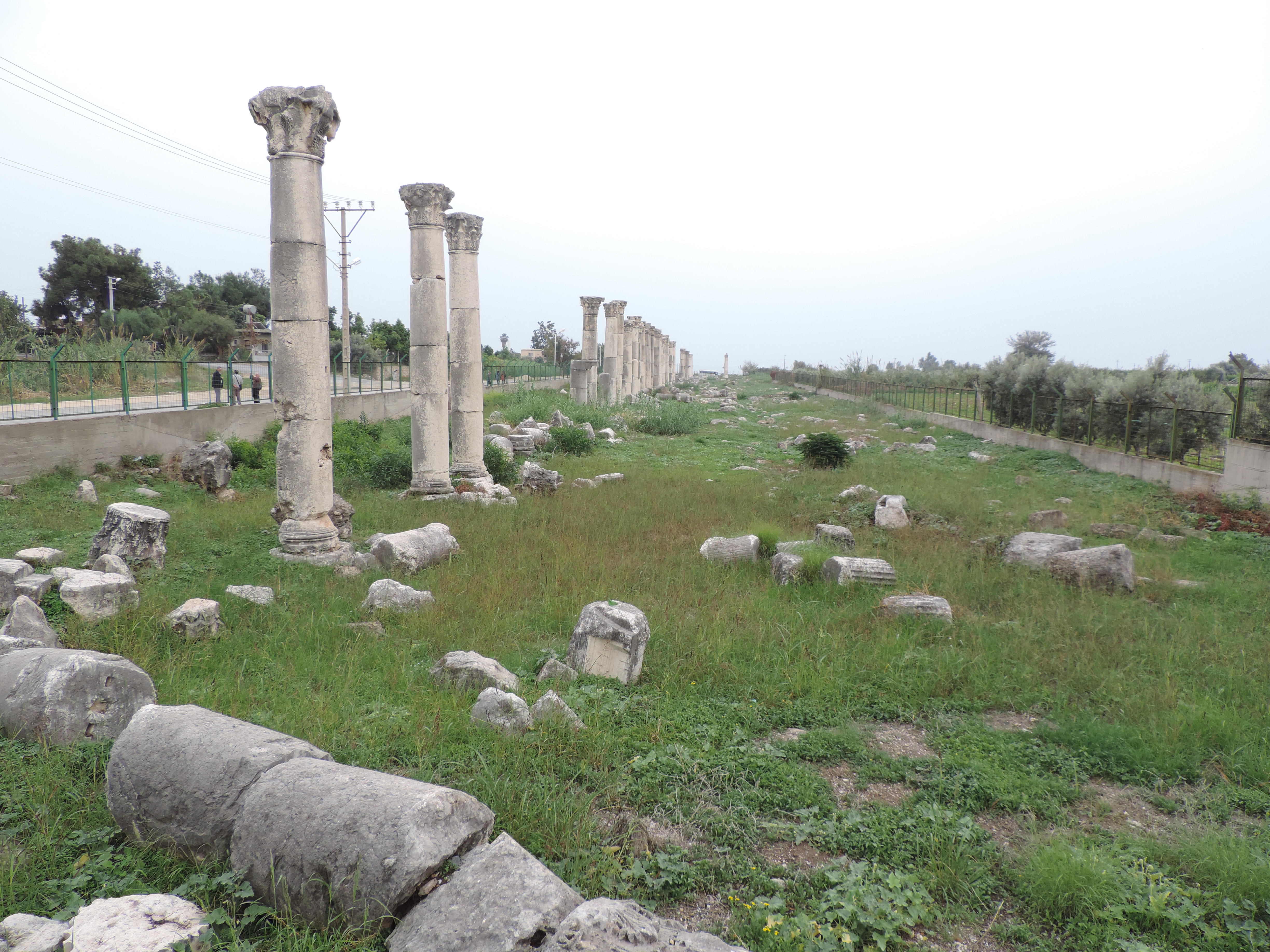 Mezitli Soli-Pompeiopolis antik kenti