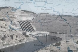 Yazılı Basında Anka