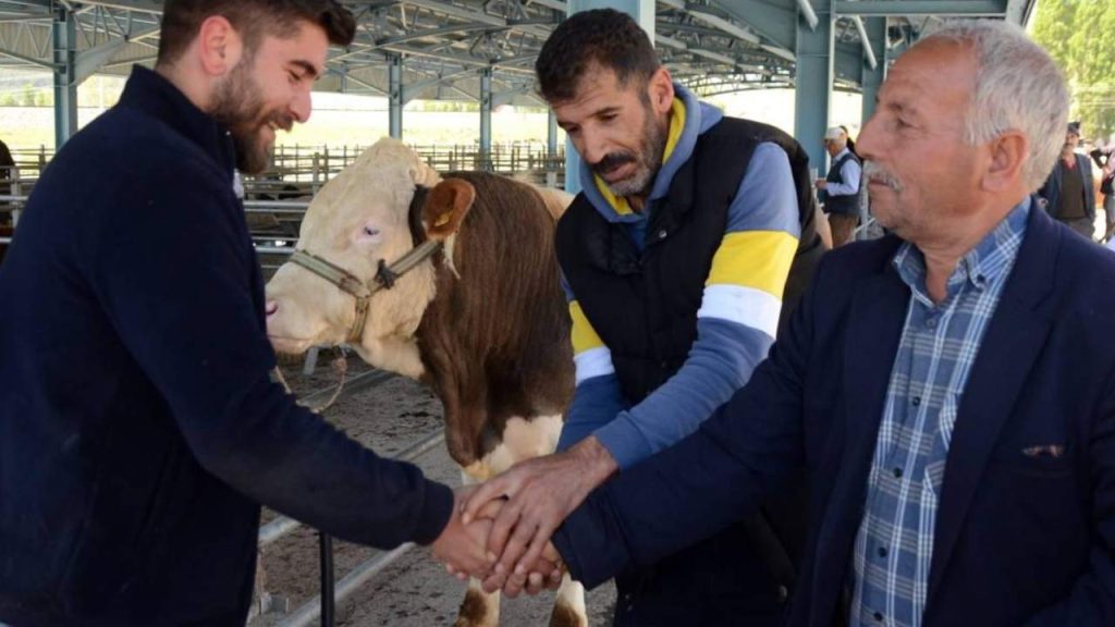 Kurban parasıyla masraf bitmiyor: Cepten çıkarken can yakacak