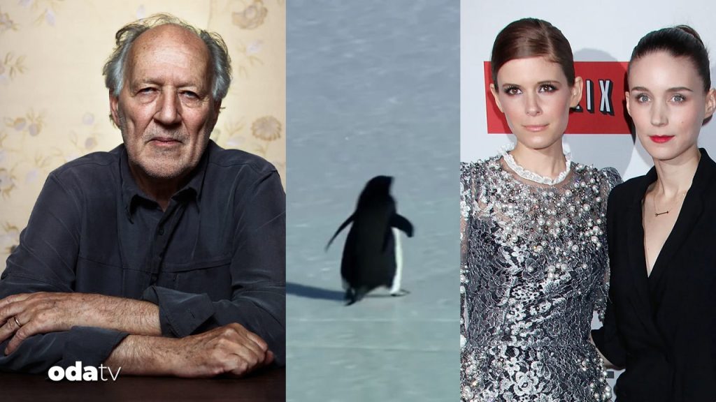 ‘Nihilist penguen’ ile gündemdeydi… Ünlü yönetmenden festival kararı