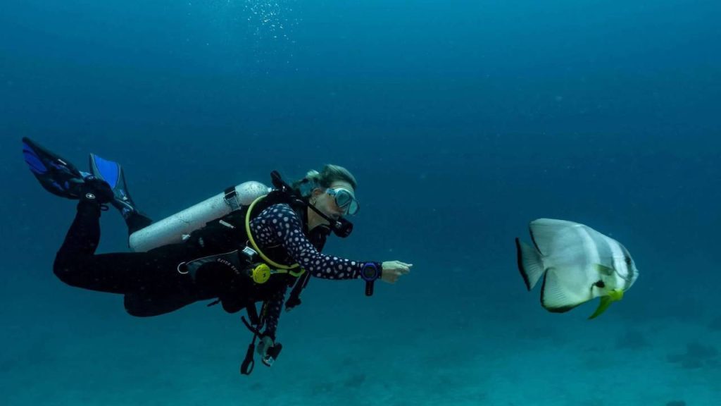 Turistik dalış kabusa döndü! Profesör ve ekibi hayatını kaybetti