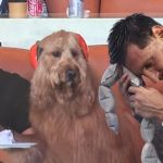 Başına Gelene Messi de İnanamadı: Kulaklıkla Maçı İzleyen Tribündeki Köpek De!