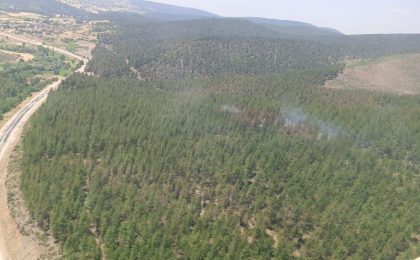 Bursa’da Orman Yangını!