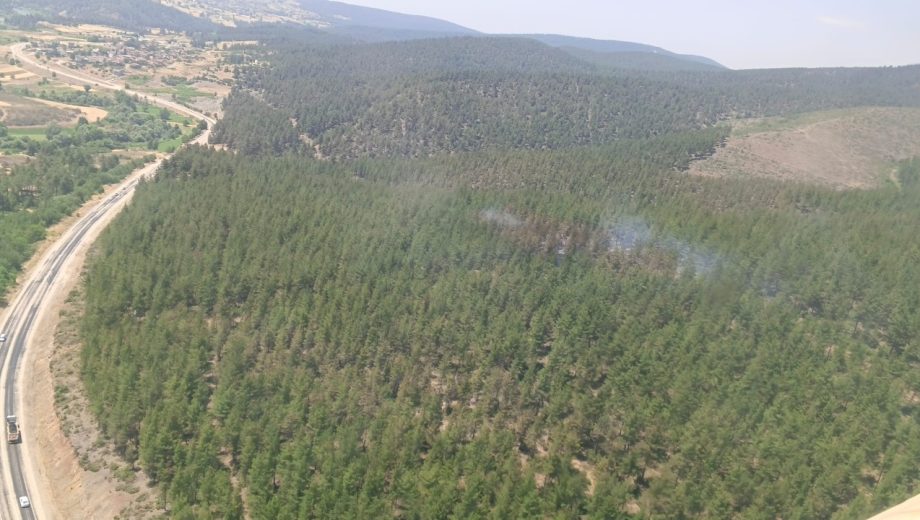 Bursa’da Orman Yangını!