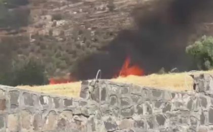 Gaziantep’te Orman Yangını