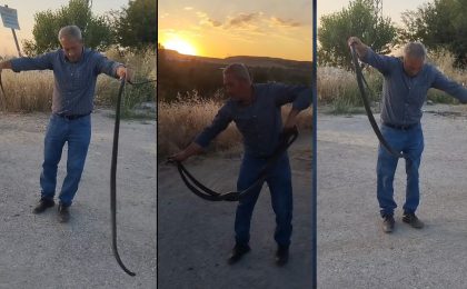 Herkes Kaçtı, O Elleriyle Yakaladı: Kameralara Yansıyan O Anlar Şoke Etti!