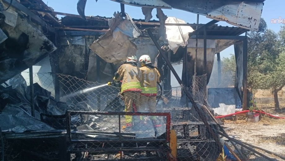 Kavurucu Sıcaklar Manisa’yı Alevlere Teslim Etti: Bir Günde 50 Yangın