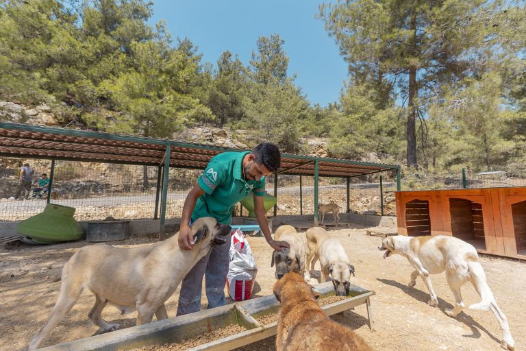Yaşamı Sahiplenen Mersin Büyükşehir Belediyesi Binlerce Canlıya Yuva Oluyor